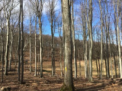 Fotografia z Robert Kremlicka na trase