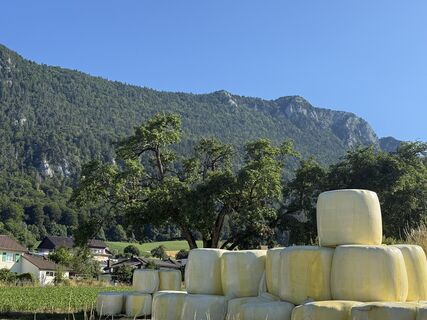 Foto von Corinne Kellenberger entlang der Tour