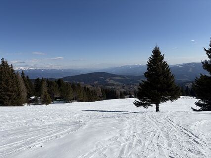 Foto de Meszaros Marianna a lo largo del recorrido