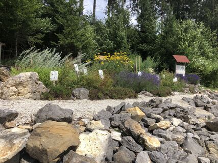Kräuter- und Insektengarten Winterlingen
