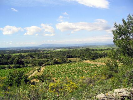 Typische Landschaft des Minervois.HS.ODSH.