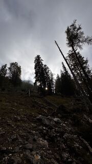 Foto von Simon Beisheim 1 entlang der Tour
