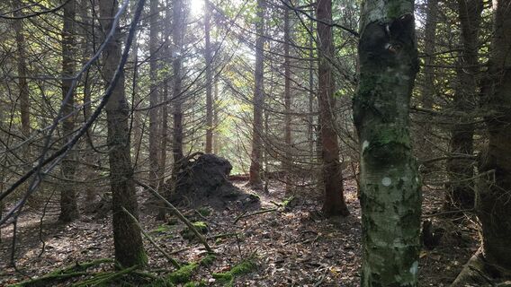 Fotografie z Katja Senkel na trase