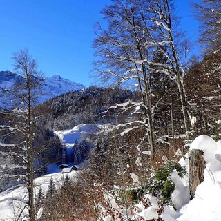 Schneeschuhtour Brünigpass-Ober Brünig-Lungern