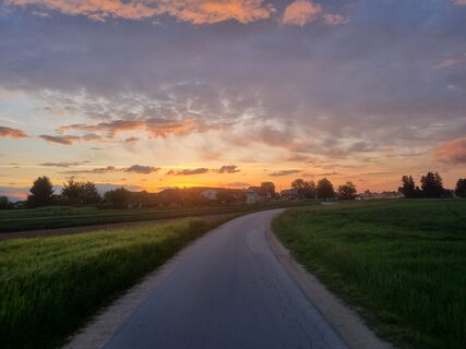 Foto von Grizli entlang der Tour