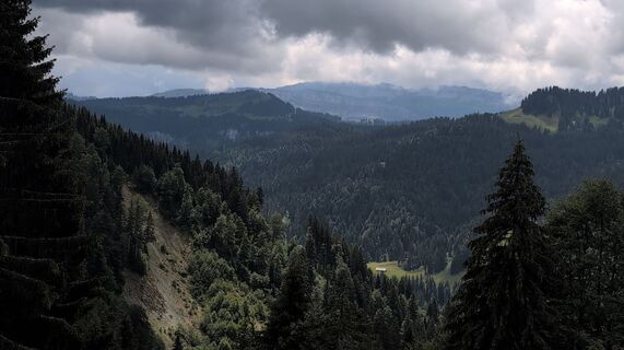 Photo de Poe Michi le long du parcours