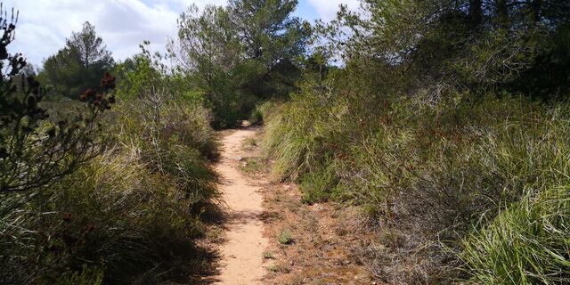 Foto de Klaus Jantschek a lo largo del recorrido