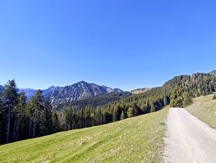 Fotografie z Michi Steiert na trase