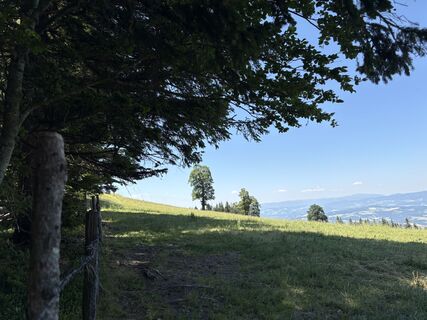 Foto von Dagmar Kutzenberger entlang der Tour