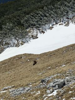 Fotografia z Luca Pirker na trase