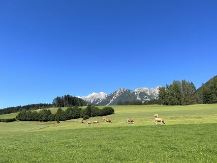 Foto von Walter Koppitsch entlang der Tour