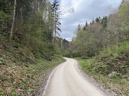 Anger_Stoisseralm