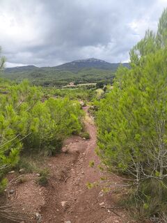 Foto von CPQS entlang der Tour