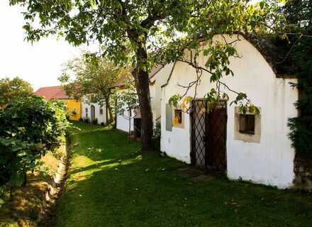 Kellergasse Stoitzendorf