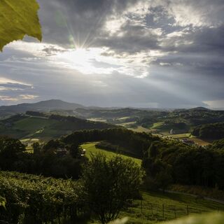 Blick ins Weinland bei Fehring