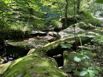 Fotografija s spletne strani Gerald na poti