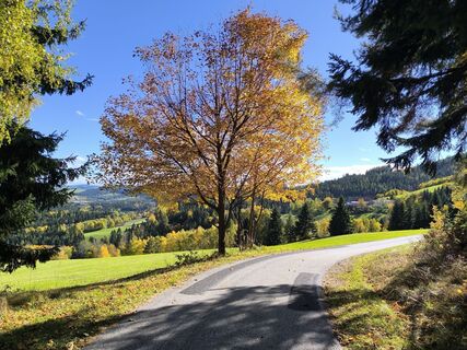 Foto von Ildikó Dávidné Nagy entlang der Tour