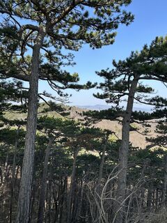 Fotografia z tjiong na trase