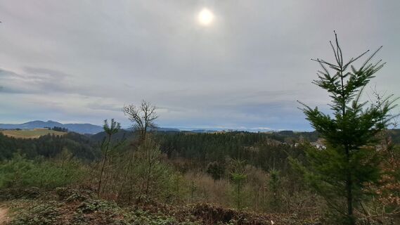 Foto fra Anita Lunzer 1 undervejs på turen