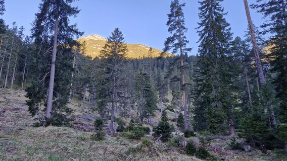 Erster Blick auf die Saldeiner Spitze