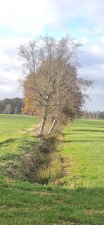 Foto von Wolfgang Riemer entlang der Tour
