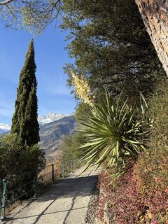 Foto von Sonja Boscarolli entlang der Tour