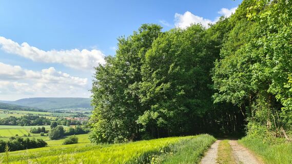 Wandern auf dem Heubergweg