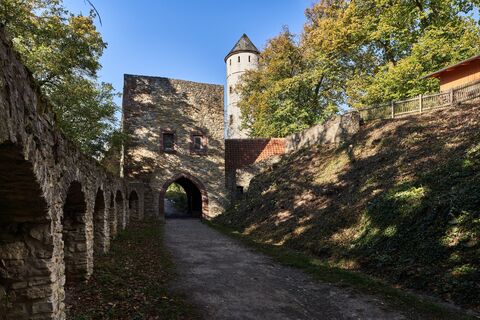 Eingang zur Burg Plesse