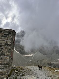 Fotografija s spletne strani Barbara Lolli na poti