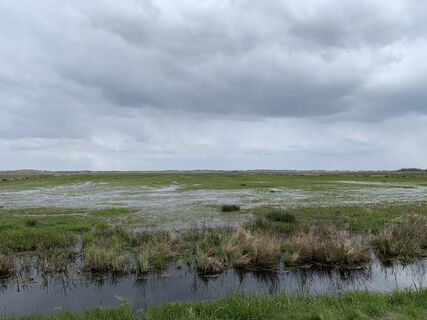 Wiesen der Hammeniederung