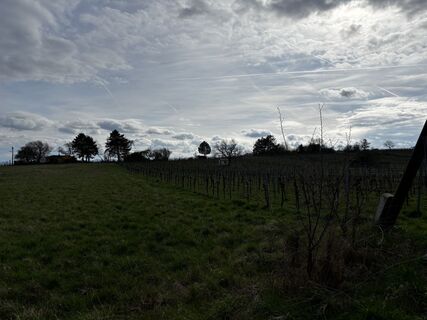 Foto von Tobi entlang der Tour