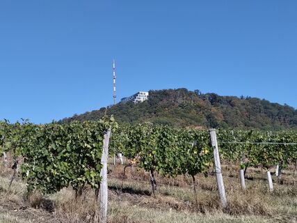 Foto von Poschacher entlang der Tour
