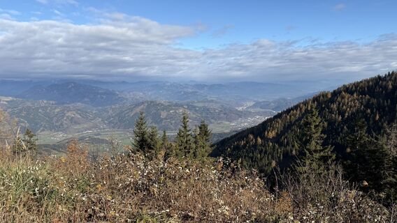 Foto från Zsolt Kozsla under resans gång