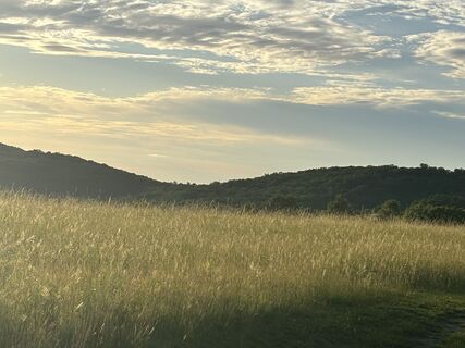 Foto de Reti Alicia a lo largo del recorrido