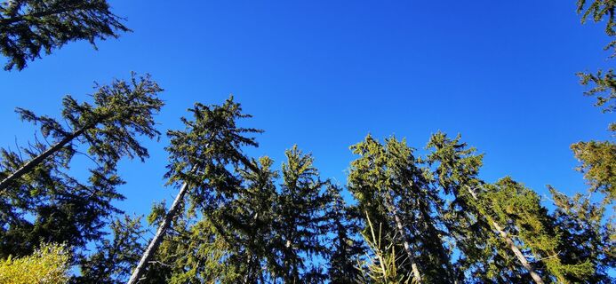 Fotografia z Klaus Lehner na trase