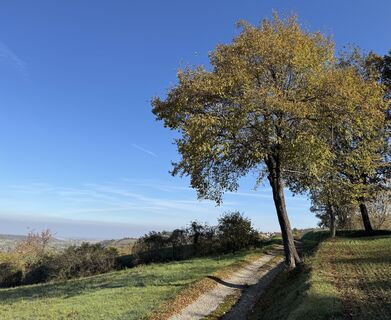 Foto von “Jerry” Brunetti entlang der Tour