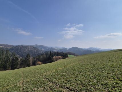 Foto de josef duermoser a lo largo del recorrido