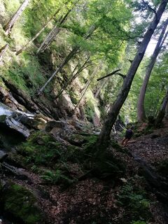 Foto von Eifeleddy entlang der Tour