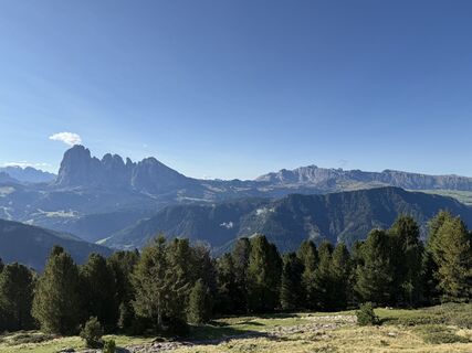 Foto från Frank de Vries under resans gång