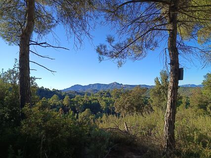 Photo de carmper le long du parcours