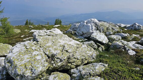 Foto von Gerhard Wilding entlang der Tour