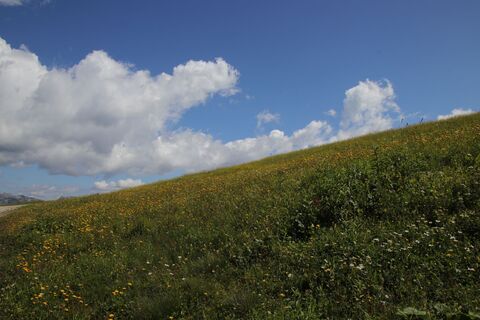 Foto von Günter Kleutsch entlang der Tour