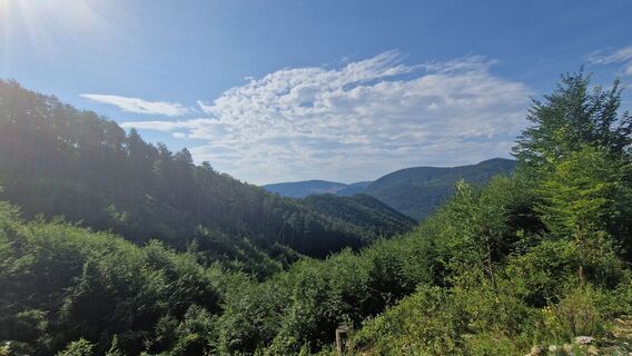 Fotografija s spletne strani EP87 na poti