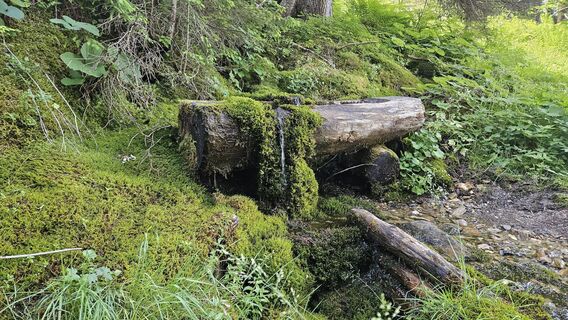 Fotografie z Johanna Wimmer-Palatin na trase