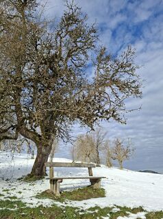 Foto von Birgit Loderbauer entlang der Tour