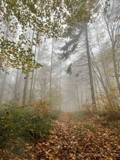 Foto von Elisabeth Ebner 1 entlang der Tour