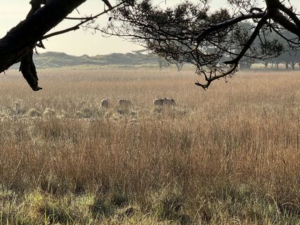 Zdjęcie z Martin Schubert wzdłuż trasy