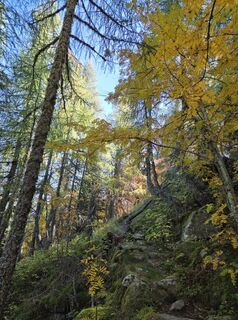 Photo de brimo le long du parcours