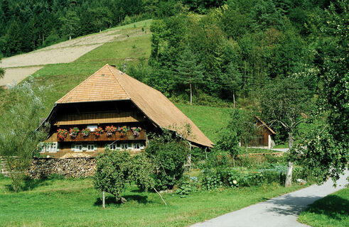 Térkép