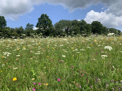 Zdjęcie z Karl 6String wzdłuż trasy